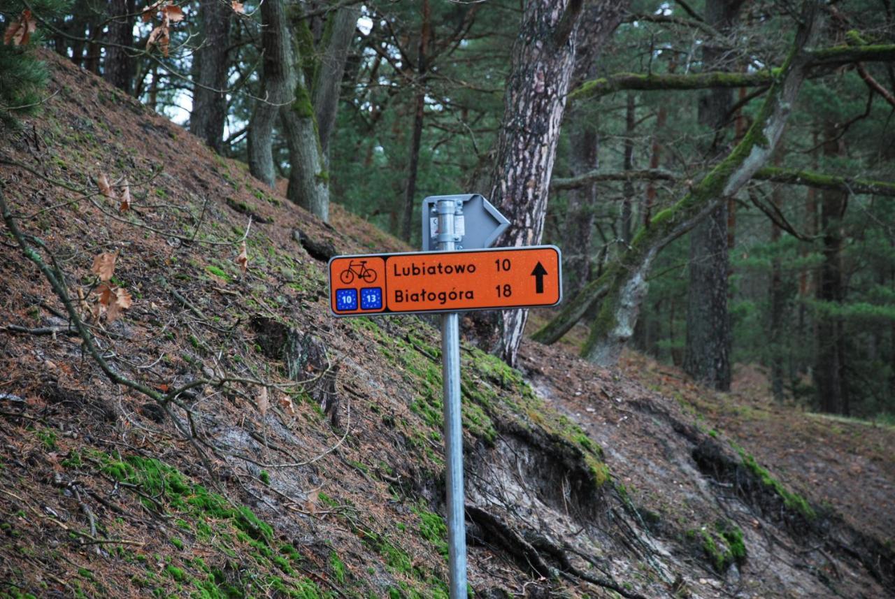 Forest House Sasino-Spa Sauna Balia Buitenkant foto
